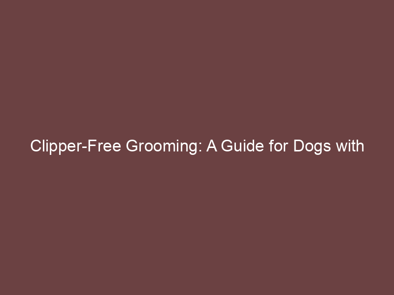 Clipper-Free Grooming: A Guide for Dogs with Clipper Anxiety
