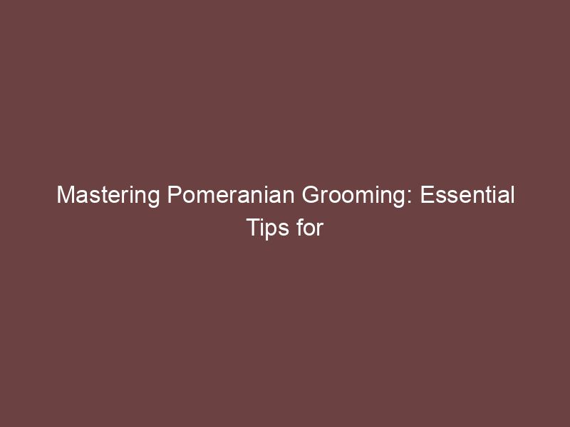Mastering Pomeranian Grooming: Essential Tips for a Fluffy Pup