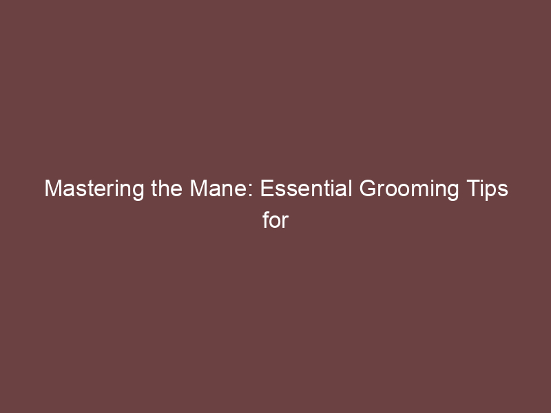 Mastering the Mane: Essential Grooming Tips for Dogs with Undercoats