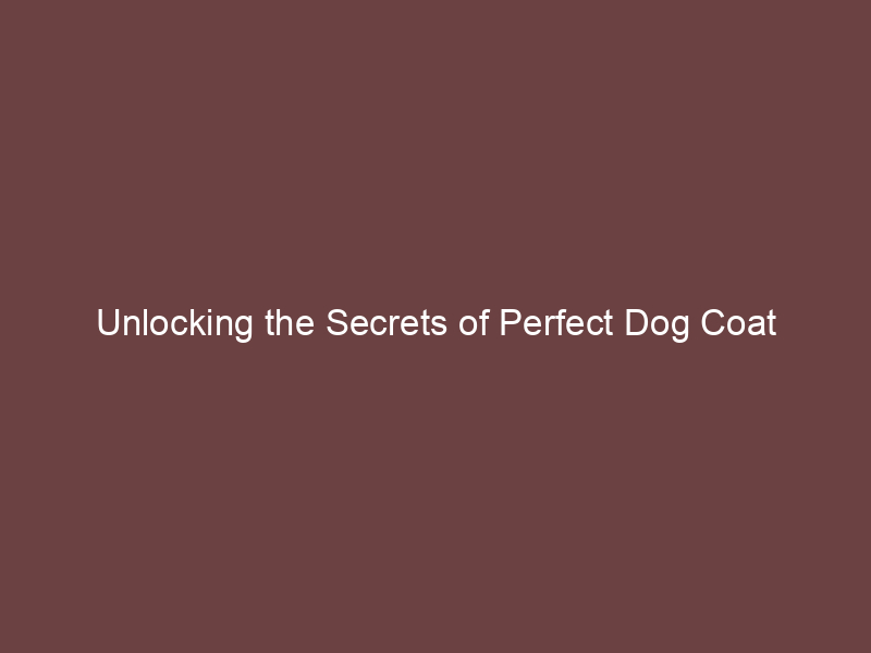 Unlocking the Secrets of Perfect Dog Coat Conditioning