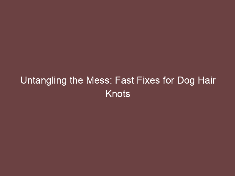 Untangling the Mess: Fast Fixes for Dog Hair Knots